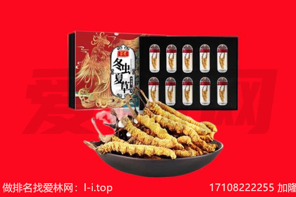 永州市道县回收虫草.jpg